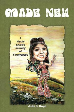 Cover of the book Made New by Shirley Ferguson
