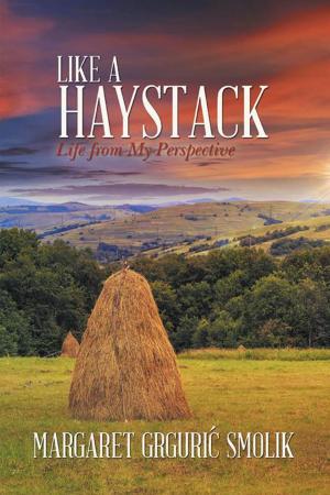 Cover of the book Like a Haystack by Tim Edwards