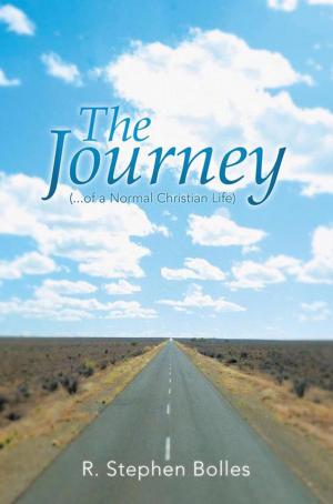 Cover of the book The Journey by Dr. Nkere K. Ebube