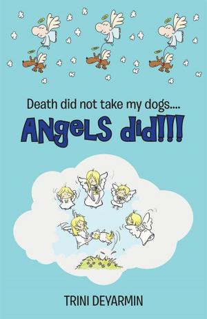 bigCover of the book Death Did Not Take My Dogs....Angels Did!!! by 