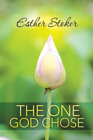 Cover of the book The One God Chose by Amanda Walker