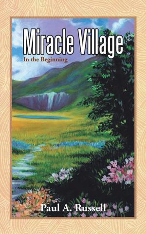 Cover of the book Miracle Village by Jeremy Steng