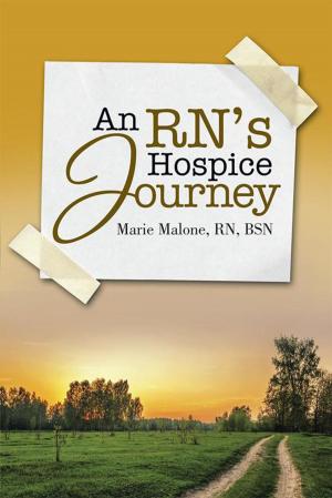Cover of the book An Rn’S Hospice Journey by Halina B. Slowik