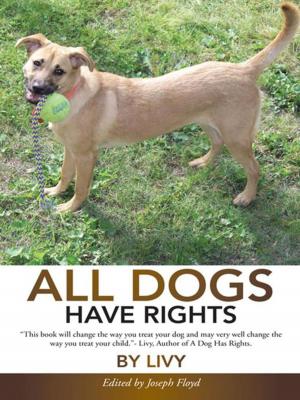 Cover of the book All Dogs Have Rights by George Paul Youket