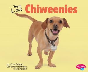 Cover of the book You'll Love Chiweenies by Thomas Sarc