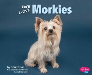 Cover of the book You'll Love Morkies by Isabel Thomas