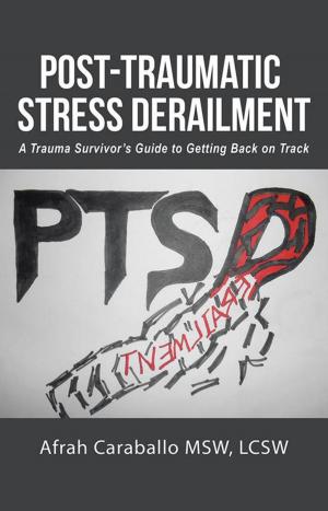 Cover of the book Post-Traumatic Stress Derailment by Julie Anne Schubert