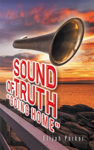 Cover of the book Sound of Truth "Going Home" by T.M. Saunders