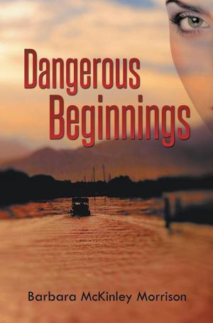 Cover of the book Dangerous Beginnings by Jo Mills Garceau