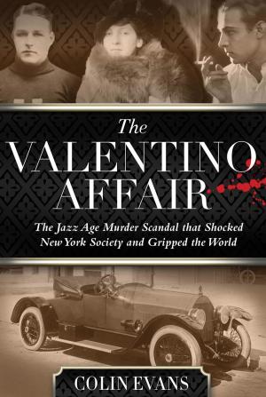 Cover of the book Valentino Affair by J.D. Dickey