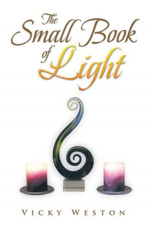 bigCover of the book The Small Book of Light by 