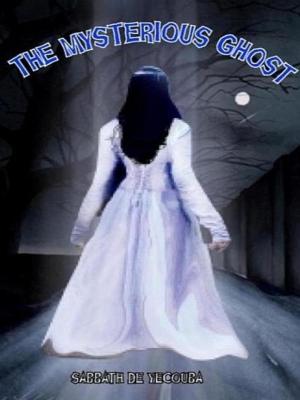 bigCover of the book The Mysterious Ghost by 