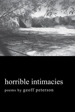 Cover of the book Horrible Intimacies by ROBERT J. GOSSETT