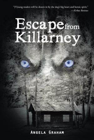Cover of the book Escape from Killarney by Carolyn Hansen Tidwell