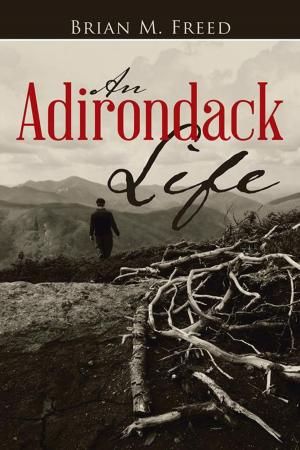 Cover of the book An Adirondack Life by Patricia Randall