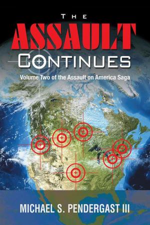 Book cover of The Assault Continues