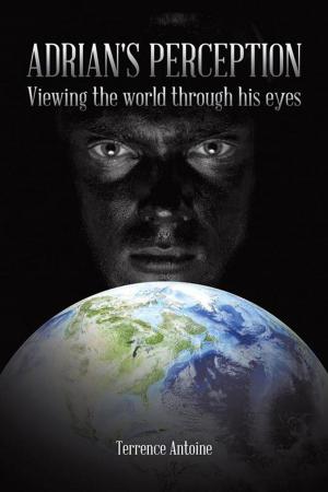 Cover of the book Adrian's Perception by David L. Cook