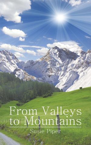 Cover of the book From Valleys to Mountains by S. Alan Schweitzer