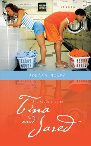 bigCover of the book The Adventures of Tina and Jared by 