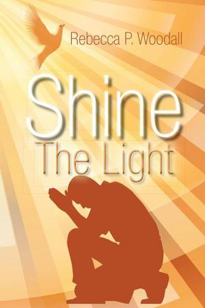 Cover of the book Shine the Light by D.W. Anthony