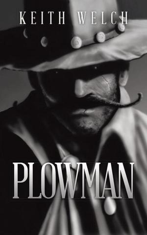 Cover of the book Plowman by Richey Novak, Sigrid Scholtz Novak