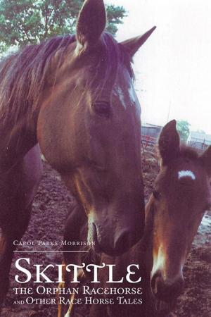 Cover of the book Skittle, the Orphan Racehorse, and Other Race Horse Tales by A. Waldmann