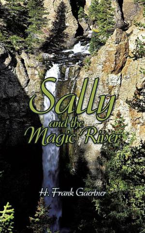 Cover of the book Sally and the Magic River by Melvin Glazer