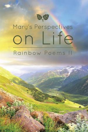 Book cover of Mary's Perspectives on Life