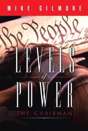 Cover of the book Levels of Power by William Post