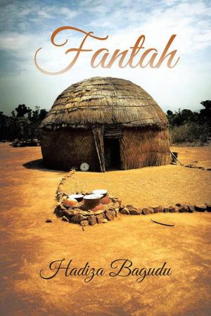 Cover of the book Fantah by Linda Zebert