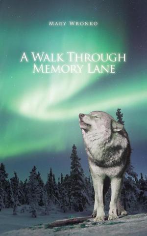 Cover of the book A Walk Through Memory Lane by Mélanie Charbonneau