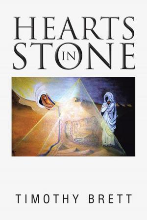 Cover of the book Hearts in Stone by Olushola Sophia Adebayo - Anyanwu