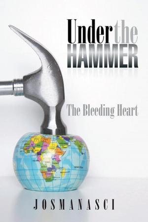 Cover of the book Under the Hammer by Hannah McCarty