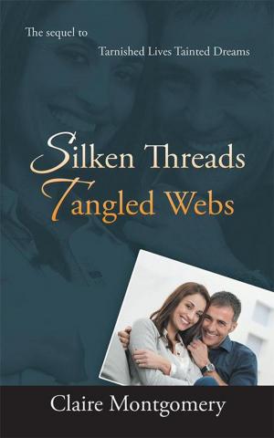 bigCover of the book Silken Threads Tangled Webs by 