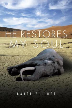 Cover of the book He Restores My Soul by Jared Percival Shay