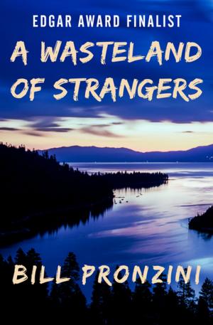 Cover of the book A Wasteland of Strangers by Robert Silverberg