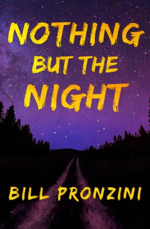 Cover of the book Nothing but the Night by V.K. Scott