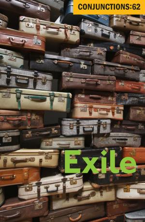 Cover of the book Exile by Bradford Morrow