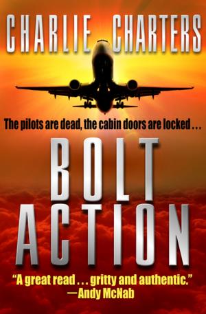 Cover of the book Bolt Action by Rafael Sabatini