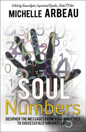 Cover of the book Soul Numbers by Tim Cahill