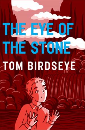 bigCover of the book The Eye of the Stone by 