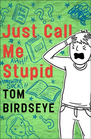 Cover of the book Just Call Me Stupid by Norma Fox Mazer