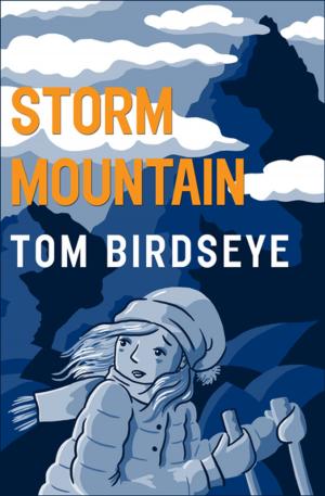 Cover of the book Storm Mountain by Jeff Bredenberg