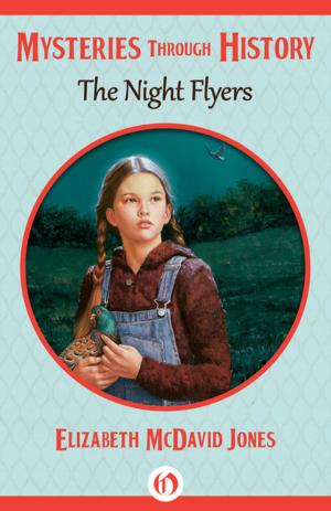 Cover of the book The Night Flyers by Patricia Wentworth