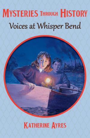 Cover of the book Voices at Whisper Bend by Sloan Wilson