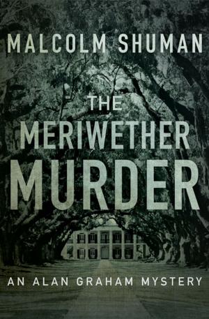 Cover of the book The Meriwether Murder by Natalie Goldberg