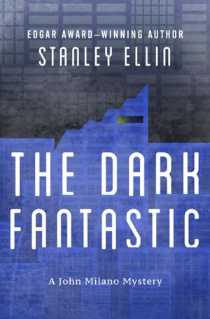 Cover of the book The Dark Fantastic by Greg Camp