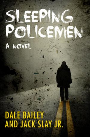 Book cover of Sleeping Policemen