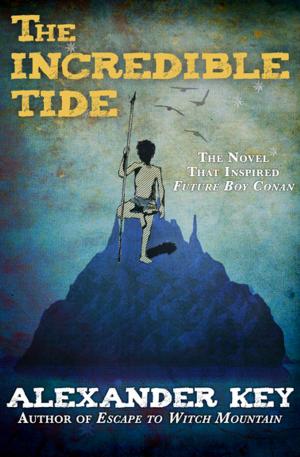 Cover of the book The Incredible Tide by Robert Silverberg