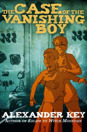 Cover of the book The Case of the Vanishing Boy by Robin Morgan
